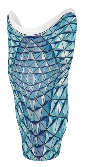 LF 0003-00