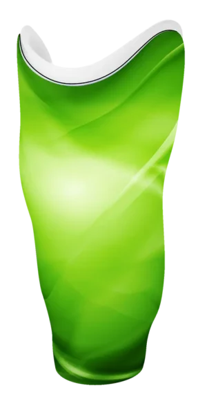 LF 0005-00