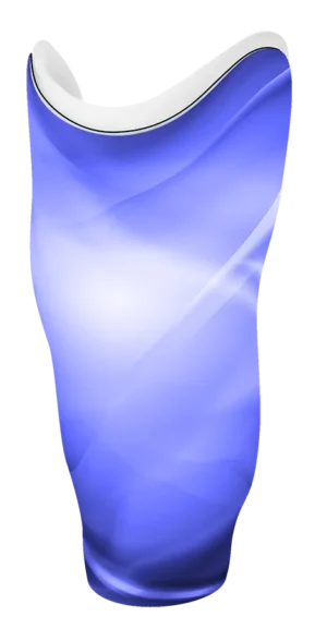 LF 0005-02