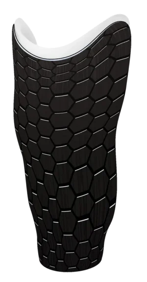 LF 0012-00