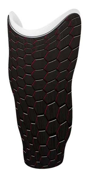 LF 0012-01