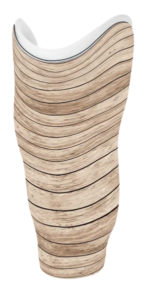 LF 0021-00