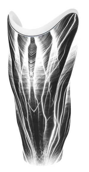 LF 0026-01