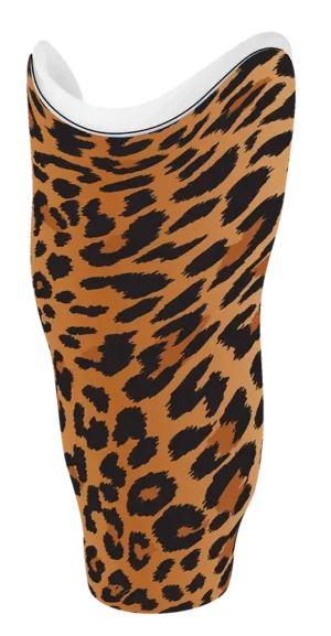 LF 0036-00